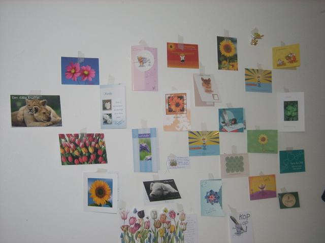 fanmail 2