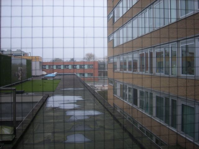 grauw uitzicht.JPG