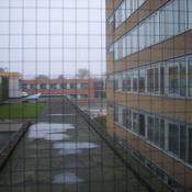 grauw uitzicht.JPG