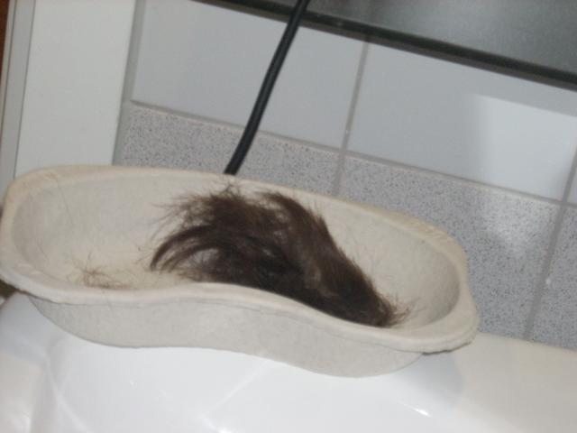 snik nieuwe bestemming...JPG