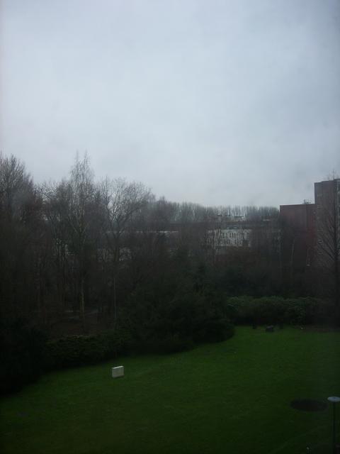 window 2