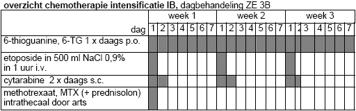 schema-intensificatie1b.PNG